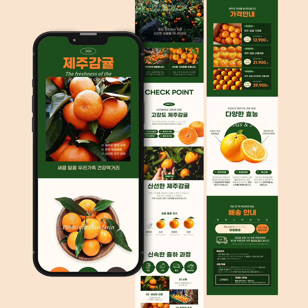 서귀포 제주 감귤