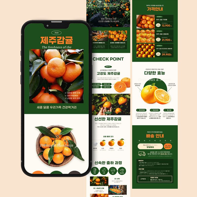 서귀포 제주 감귤